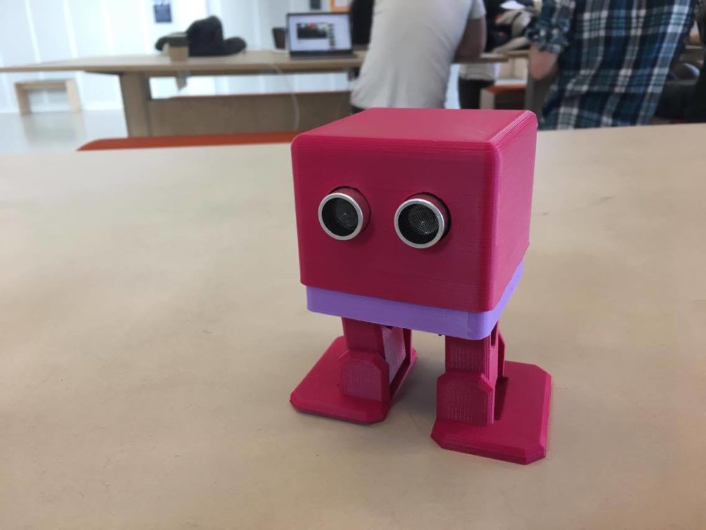 My first biped robot